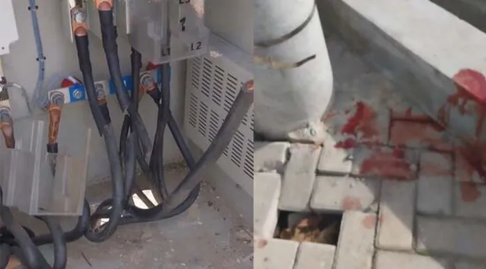 Pencurian Kabel Gardu PLN di Konda, Video Viral di Media Sosial Pencurian Kabel Gardu PLN di Konda, Video Viral di Media Sosial