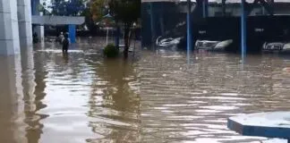 Diguyur Hujan Deras, Kantor Diskominfo Sultra Terendam Banjir Hampir Setinggi Paha Diguyur Hujan Deras, Kantor Diskominfo Sultra Terendam Banjir Hampir Setinggi Paha