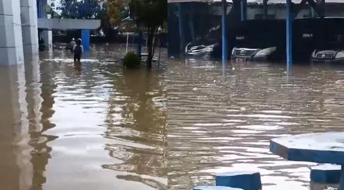 Diguyur Hujan Deras, Kantor Diskominfo Sultra Terendam Banjir Hampir Setinggi Paha Diguyur Hujan Deras, Kantor Diskominfo Sultra Terendam Banjir Hampir Setinggi Paha