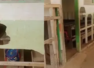 Potret Memprihatinkan SDN 13 Lasusua Kolut Viral, Siswa Belajar di Kelas Beralas Tanah Potret Memprihatinkan SDN 13 Lasusua Kolut Viral, Siswa Belajar di Kelas Beralas Tanah