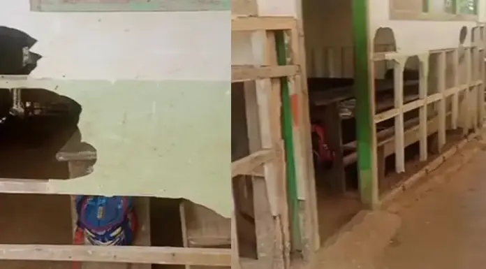 Potret Memprihatinkan SDN 13 Lasusua Kolut Viral, Siswa Belajar di Kelas Beralas Tanah Potret Memprihatinkan SDN 13 Lasusua Kolut Viral, Siswa Belajar di Kelas Beralas Tanah