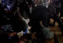 Pria Diduga Mabuk Ngaku Anggota Polisi Diamankan Tim Patroli Presisi usai Bikin Onar di Kendari Pria Diduga Mabuk Ngaku Anggota Polisi Diamankan Tim Patroli Presisi usai Bikin Onar di Kendari