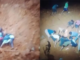 Pekerja Tambang Nikel di Morombo Konut Tertimbun Longsor, 4 Masih Dicari Pekerja Tambang Nikel di Morombo Konut Tertimbun Longsor, 4 Masih Dicari