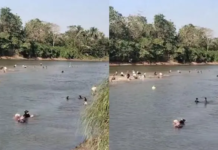 Sungai Konaweha di Pohara Surut, Warga Ramai-ramai Berburu Pokea Sungai Konaweha di Pohara Surut, Warga Ramai-ramai Berburu Pokea