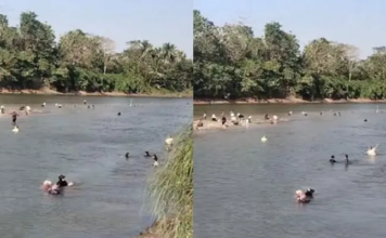 Sungai Konaweha di Pohara Surut, Warga Ramai-ramai Berburu Pokea Sungai Konaweha di Pohara Surut, Warga Ramai-ramai Berburu Pokea