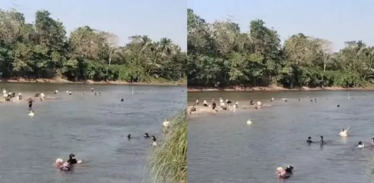 Sungai Konaweha di Pohara Surut, Warga Ramai-ramai Berburu Pokea Sungai Konaweha di Pohara Surut, Warga Ramai-ramai Berburu Pokea