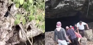 Detik-detik Penangkap Ular Digigit Piton Saat Evakuasi di Permandian Gua Buteng Detik-detik Penangkap Ular Digigit Piton Saat Evakuasi di Permandian Gua Buteng