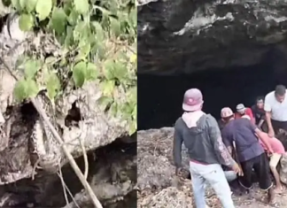 Detik-detik Penangkap Ular Digigit Piton Saat Evakuasi di Permandian Gua Buteng Detik-detik Penangkap Ular Digigit Piton Saat Evakuasi di Permandian Gua Buteng