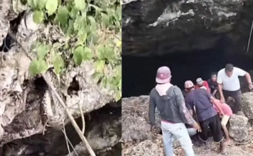 Detik-detik Penangkap Ular Digigit Piton Saat Evakuasi di Permandian Gua Buteng Detik-detik Penangkap Ular Digigit Piton Saat Evakuasi di Permandian Gua Buteng