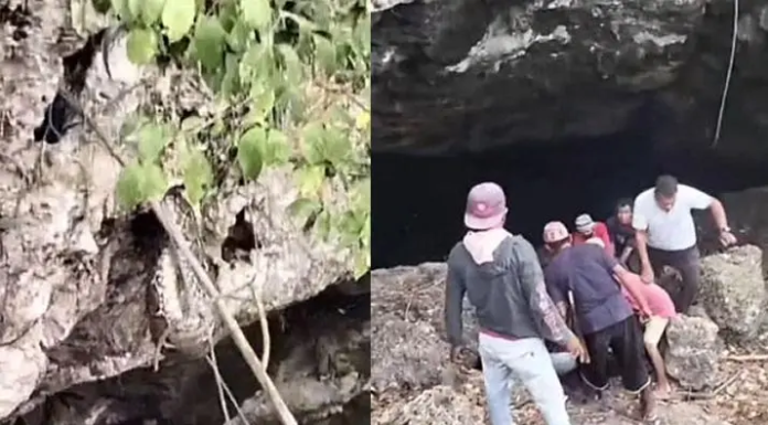 Detik-detik Penangkap Ular Digigit Piton Saat Evakuasi di Permandian Gua Buteng Detik-detik Penangkap Ular Digigit Piton Saat Evakuasi di Permandian Gua Buteng