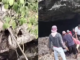 Detik-detik Penangkap Ular Digigit Piton Saat Evakuasi di Permandian Gua Buteng Detik-detik Penangkap Ular Digigit Piton Saat Evakuasi di Permandian Gua Buteng