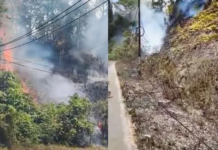 Karhutla Gunung Wolasi Konsel, Api Bakar Lereng Bukit hingga Kabel Listrik Karhutla Gunung Wolasi Konsel, Api Bakar Lereng Bukit hingga Kabel Listrik