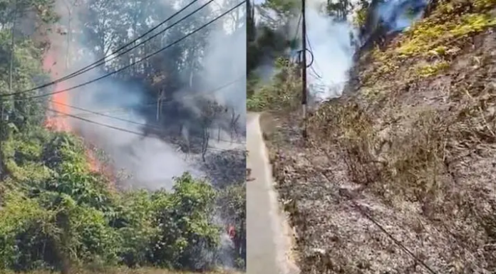 Karhutla Gunung Wolasi Konsel, Api Bakar Lereng Bukit hingga Kabel Listrik Karhutla Gunung Wolasi Konsel, Api Bakar Lereng Bukit hingga Kabel Listrik