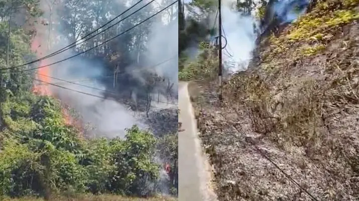 karhutla_wolasi Karhutla Gunung Wolasi Konsel, Api Bakar Lereng Bukit hingga Kabel Listrik