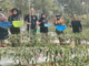 Program Mandiri Pangan ANTAM Bantu Petani Mowundo Kembangkan Budidaya Cabai Program Mandiri Pangan ANTAM Bantu Petani Mowundo Kembangkan Budidaya Cabai